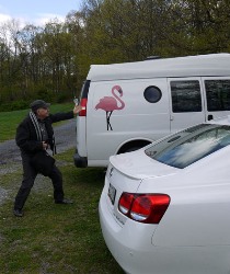 Original Curator with Motive Flamingo Memorial